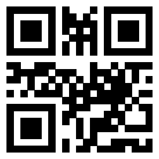 Il Qr Code di 3919648641