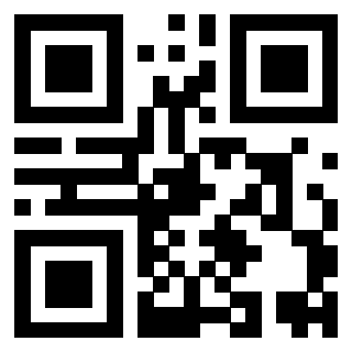 Il Qr Code di 3919648643
