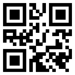Il Qr Code di 3919648649
