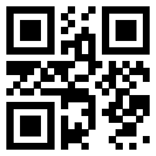 Il Qr Code di 3919648651
