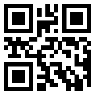 Il Qr Code di 3919648652