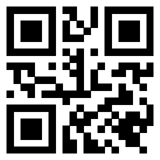 Il Qr Code di 3919648664