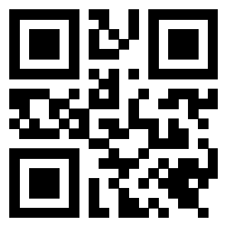 Il Qr Code di 3919648670