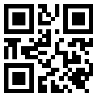 Il Qr Code di 3919648676
