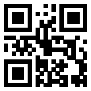 Il Qr Code di 3919648679