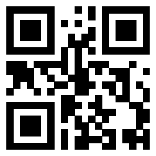 Il Qr Code di 3919648697