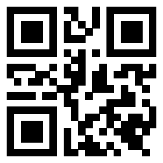 Il Qr Code di 3919648715