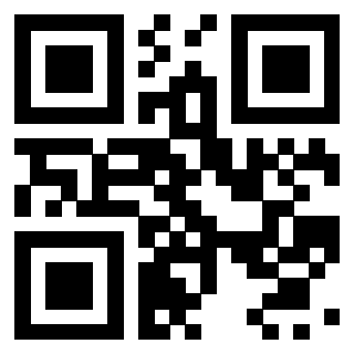 QrCode di 3919648717