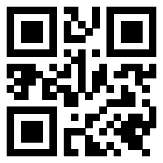 Il Qr Code di 3919648730