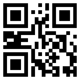 Il Qr Code di 3919648731