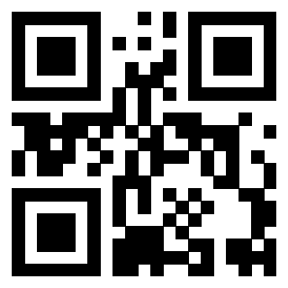 QrCode di 3919648768
