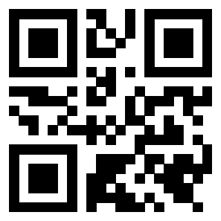 QrCode di 3919648769