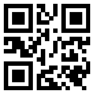 QrCode di 3919648783
