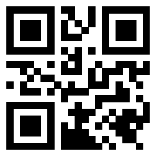 Il Qr Code di 3919648798