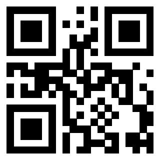 Il Qr Code di 3919648810