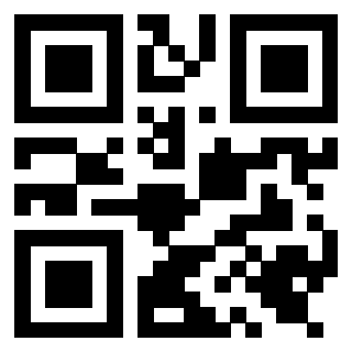 Il Qr Code di 3919648844