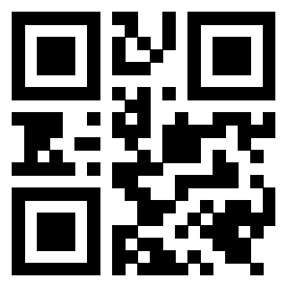 Il Qr Code di 3919648848