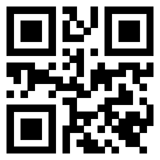 Il Qr Code di 3919648865