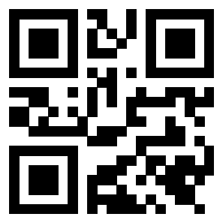 Il Qr Code di 3919648889