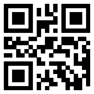 Il Qr Code di 3919648896