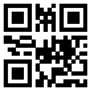 Il Qr Code di 3919648902