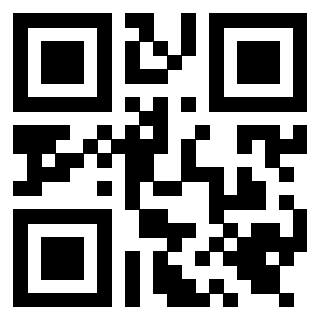 Il Qr Code di 3919648906
