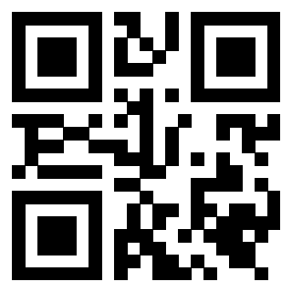 Il Qr Code di 3919648917