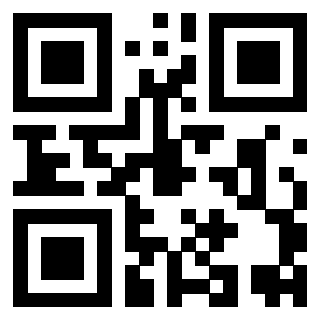 Il Qr Code di 3919648929