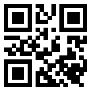 Il Qr Code di 3919648935