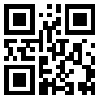 Il Qr Code di 3919648936