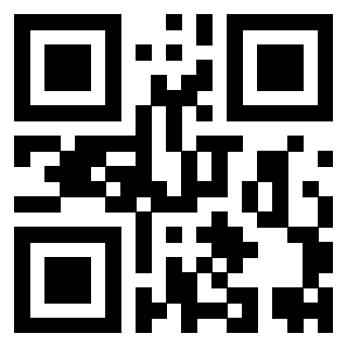 Il Qr Code di 3919648943