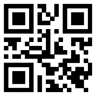 QrCode di 3919648975