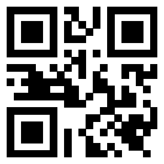 Il Qr Code di 3919648984