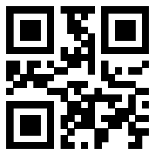 3919649013 QrCode associato