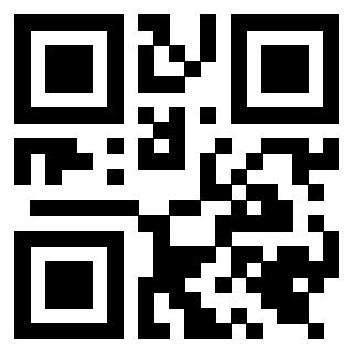 Il Qr Code di 3919649019