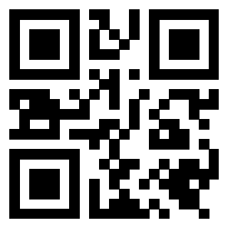 Il Qr Code di 3919649032