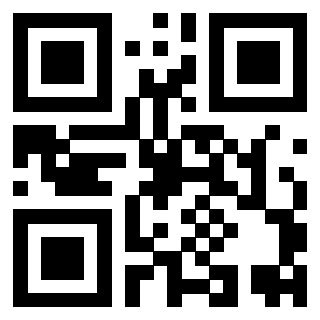 Il Qr Code di 3919649040