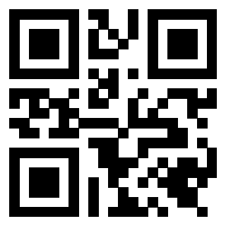 QrCode di 3919649048