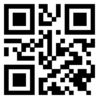 Il Qr Code di 3919649084
