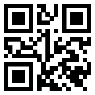 Il Qr Code di 3919649085