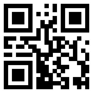 QrCode di 3919649087