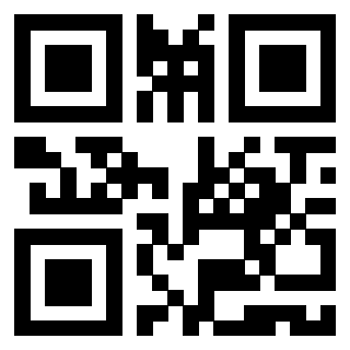 Il Qr Code di 3919649100