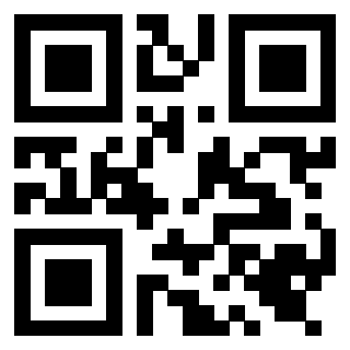 Il Qr Code di 3919649119