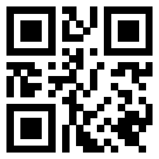 Il Qr Code di 3919661640