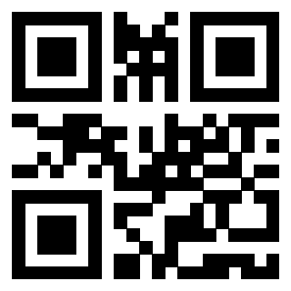 Il Qr Code di 3919661691