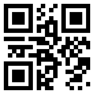 Il Qr Code di 3919661692