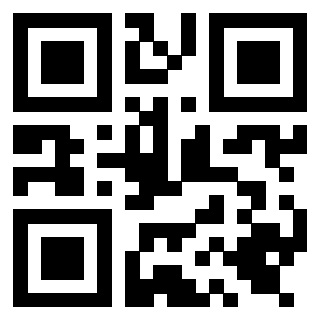 Il Qr Code di 3919661714