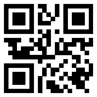 Il Qr Code di 3919661790