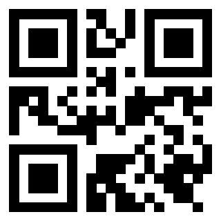 Il Qr Code di 3919661801