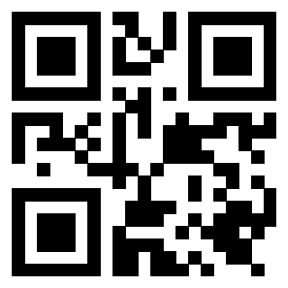 Il Qr Code di 3919661846